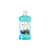 ENXAGUANTE BUCAL FLUOR WITSMILE FRESHNESS S/ALCOOL HORTELA 60ML - FGM