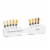 Escala de Cores IPS Natural Die -  IVOCLAR VIVADENT Escala de Cores IPS Natural Die -  IVOCLAR VIVADENT