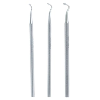 Esculpidor de Fran -  GOLGRAN