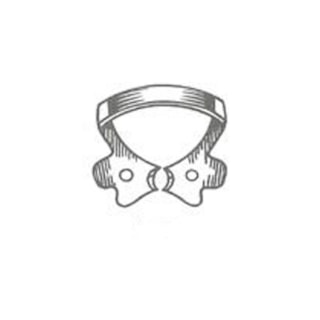 Grampo para Isolamento - SS WHITE Grampo para Isolamento - SS WHITE