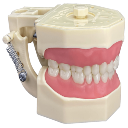 Kit Manequim Multidisciplinar 2012N - ORAIS Kit Manequim Multidisciplinar 2012N - ORAIS