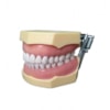 MANEQUIM DE DENTÍSTICA 3000 - MOM MANEQUIM DE DENTÍSTICA 3000 - MOM
