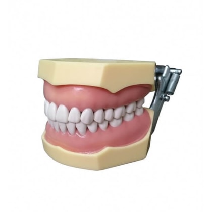 MANEQUIM DE DENTÍSTICA 3000 - MOM MANEQUIM DE DENTÍSTICA 3000 - MOM