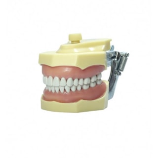 MANEQUIM DE DENTÍSTICA 3001 - MOM MANEQUIM DE DENTÍSTICA 3001 - MOM