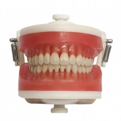 Manequim de Dentística PD 100 - PRONEW Manequim de Dentística PD 100 - PRONEW