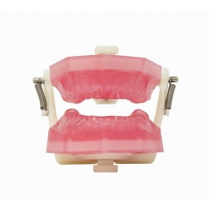 Manequim de Endodontia PD 107 - PRONEW Manequim de Endodontia PD 107 - PRONEW