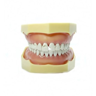 MANEQUIM MATERIAIS DENTÁRIOS COM ADAPTADOR 3003 - MOM MANEQUIM MATERIAIS DENTÁRIOS COM ADAPTADOR 3003 - MOM