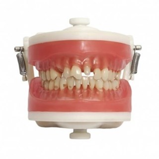 Manequim Materiais Dentários PD 101 - PRONEW