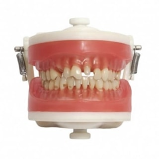 Manequim Materiais Dentários PD 101 - PRONEW Manequim Materiais Dentários PD 101 - PRONEW