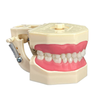 Manequim Multidisciplinar 1031 - Orais Manequim Multidisciplinar 1031 - Orais