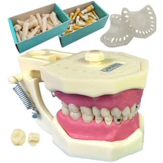 Manequim Multidisciplinar 2171 - Orais Manequim Multidisciplinar 2171 - Orais