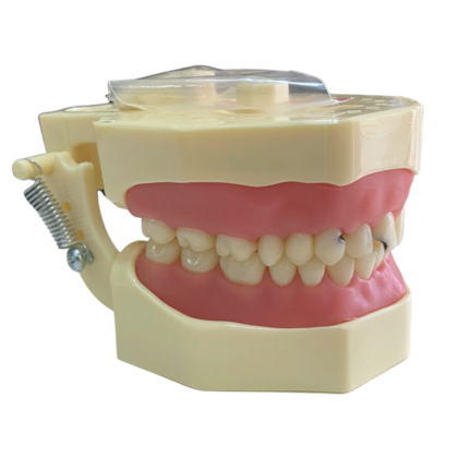 Manequim Multidisciplinar Kit UNIME - ORAIS Manequim Multidisciplinar Kit UNIME - ORAIS