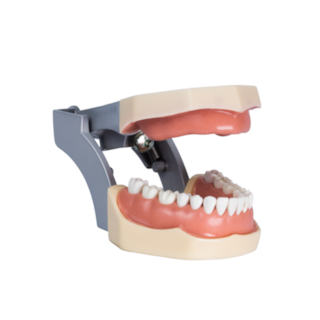 Manequim P/Prótese Parcial Unifunec - Orais Manequim P/Prótese Parcial Unifunec - Orais