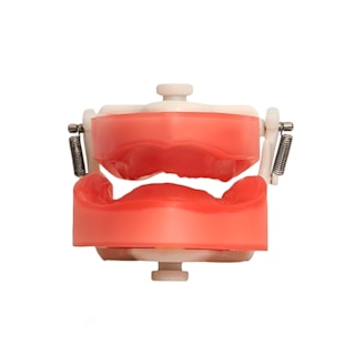 MANEQUIM P/PROTESE TOTAL COM ABAS PD 106.1 PRONEW