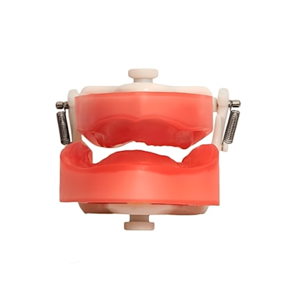 MANEQUIM P/PROTESE TOTAL COM ABAS PD 106.1 PRONEW