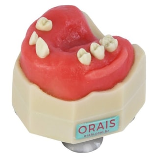 Manequim Para Cirurgia Arcada Superior Ref.404 - Orais Manequim Para Cirurgia Arcada Superior Ref.404 - Orais