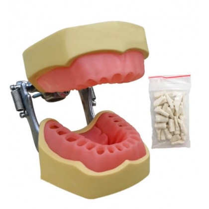 MANEQUIM PARA ENDODONTIA 2021 - MOM MANEQUIM PARA ENDODONTIA 2021 - MOM