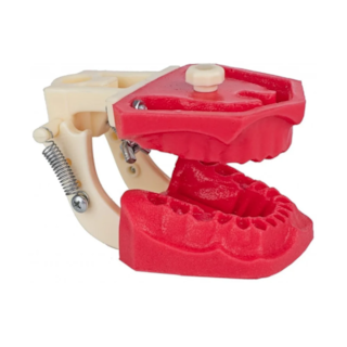 Manequim Para Endodontia Dentes Naturais Ref. 500 - Orais Manequim Para Endodontia Dentes Naturais Ref. 500 - Orais