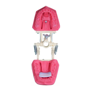 Manequim Para Endodontia Dentes Naturais Ref. 500 - Orais