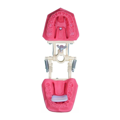 Manequim Para Endodontia Dentes Naturais Ref. 500 - Orais Manequim Para Endodontia Dentes Naturais Ref. 500 - Orais