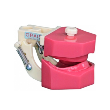 Manequim Para Prótese Total - Orais Manequim Para Prótese Total - Orais