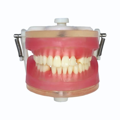 Manequim Top para Exodontia PD 113 - Pronew Manequim Top para Exodontia PD 113 - Pronew