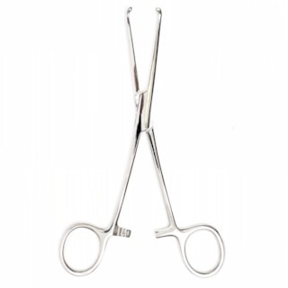 Pinça Allis - ICE Pinça Allis - ICE