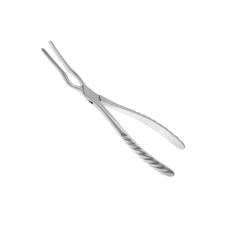 PINCA ASCH 22,5CM - QUINELATO