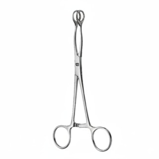 Pinça Collin Oval 19cm - QUINELATO